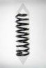 SPIDAN 56283 Coil Spring